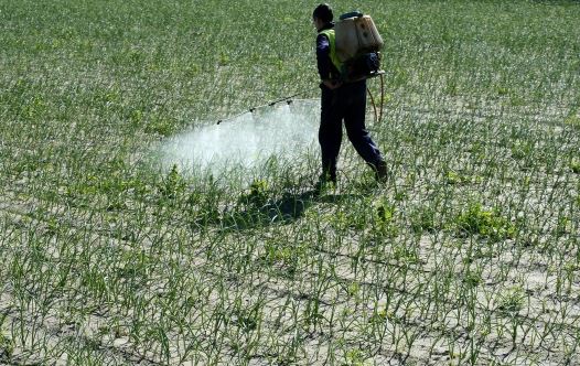 Pesticides [illustrative]