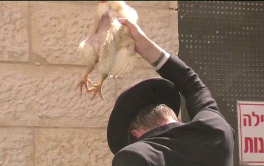 Kapparot ritual on Yom Kippur