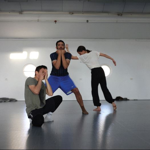 Roy Assaf's ‘II Acts for the Blind’