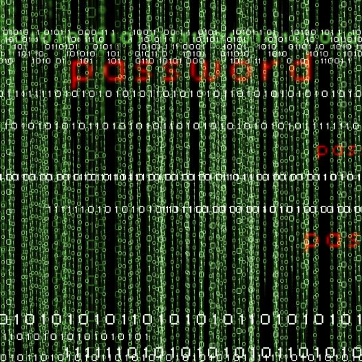 Cyber hacking (illustrative)