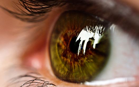 Eyesight (illustrative)