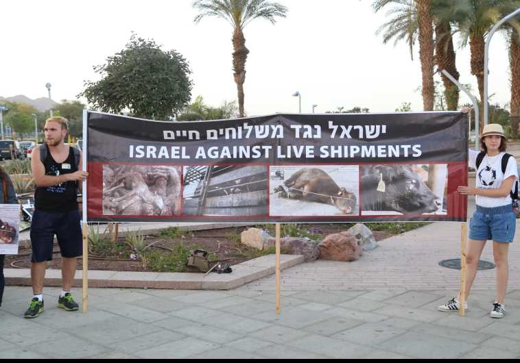Animal rights protest in Elilat