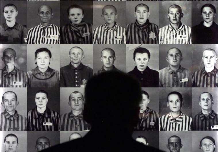 A man looks at photographs of Hungarian Jews held at the Auschwitz Concentration Camp during World War II