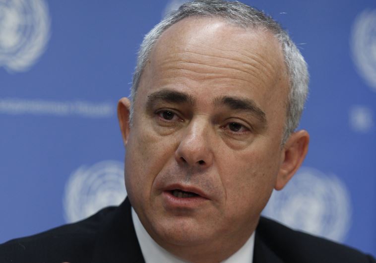 Yuval Steinitz 