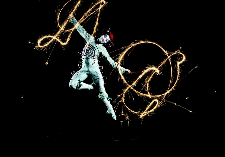 Les artistes du Cirque du soleil en pleine action
