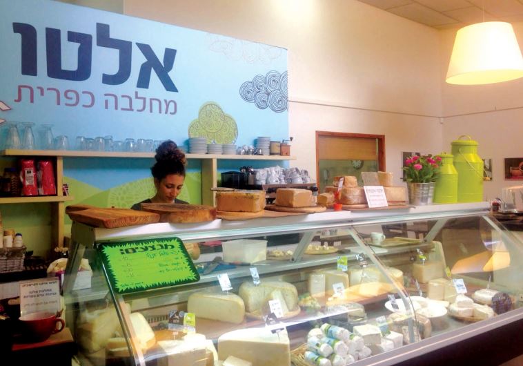 The cheese display case at Ariel Mazan’s ‘Alto,’ a boutique dairy.