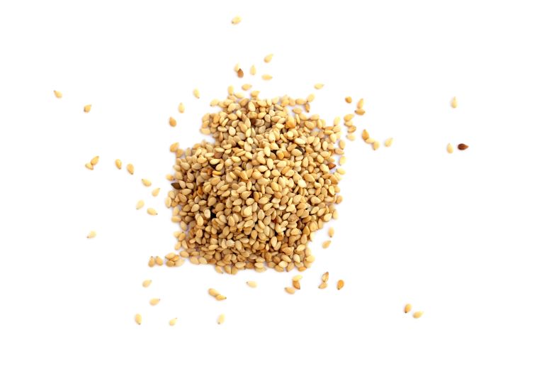 Sesame seeds are considered to be the oldest oilseed crop known to humanity