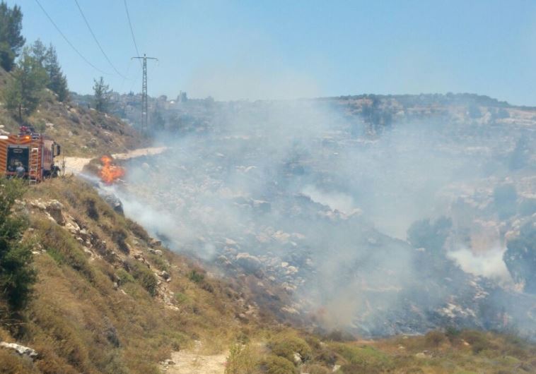 Forest fire possibly started by Arson in Jerusalem 