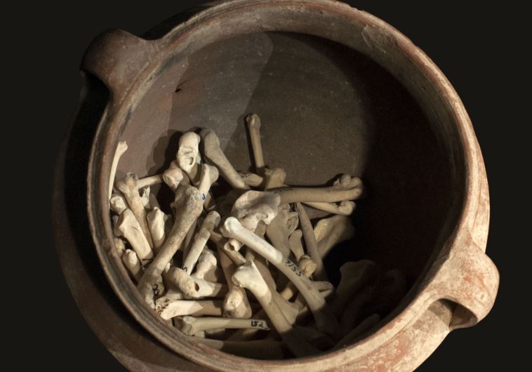 Cooking pot with chicken wings bones.