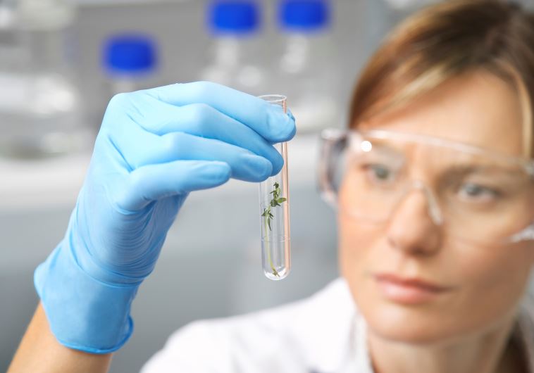 A laboratory assistant