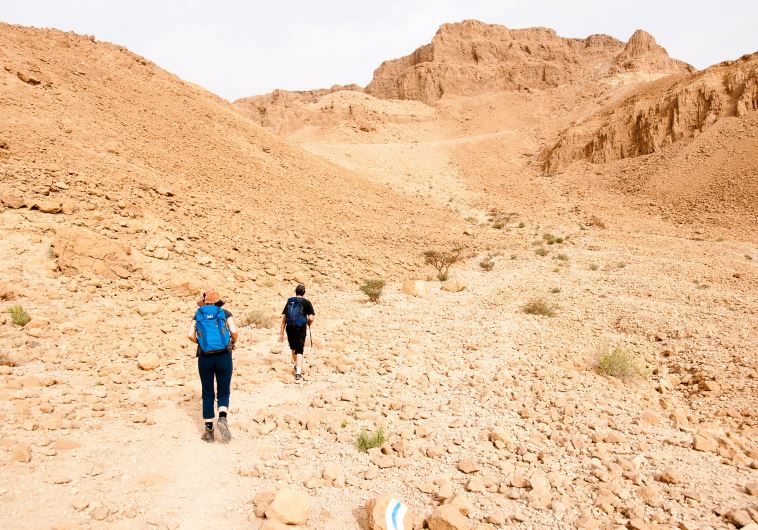 Hikers in the desert