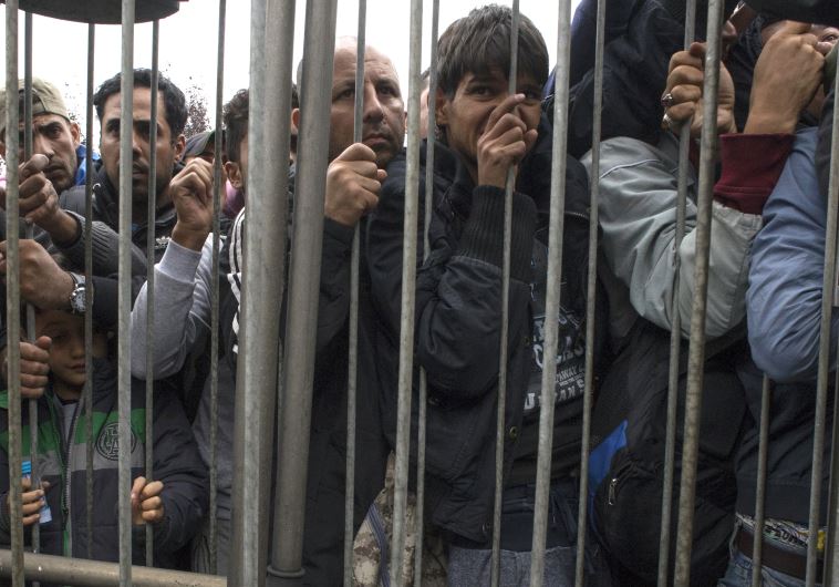 Hundreds of migrants struggle to board a train on September 11, 2015 at a train station in Nickelsdorf, at the Austrian side of the border between Hungary and Austria. Yesterday over eight thousand migrants passed through this location and the same number is expected for today.