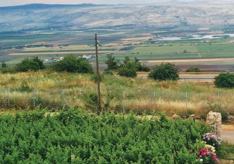 The lush Kedesh Valley terrain where the Na’aman Winery is based
