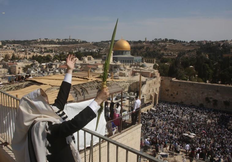 Man holding lulav.