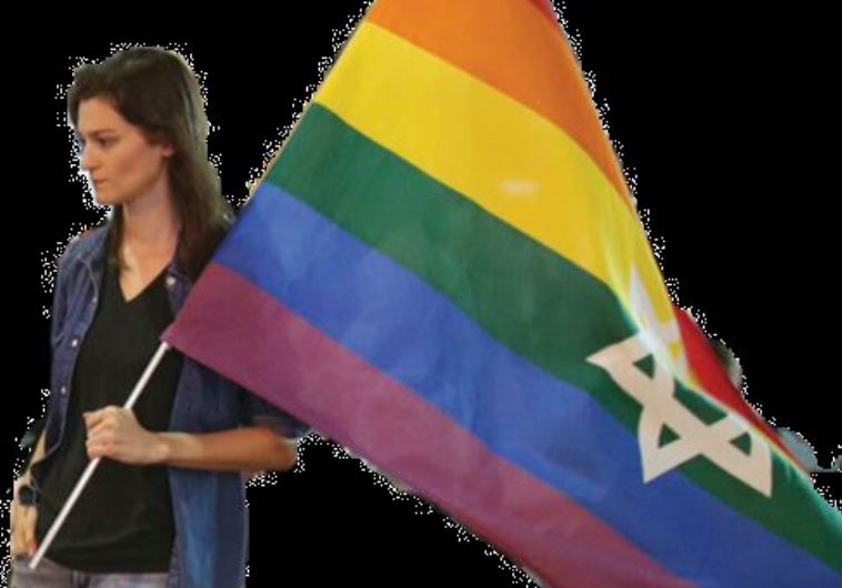 Sarah Weil waves the custom pride flag
