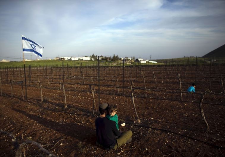 A Jewish man holds his son at a vineyard belonging to Mitzpe Kramim, east of Ramallah in the West Bank