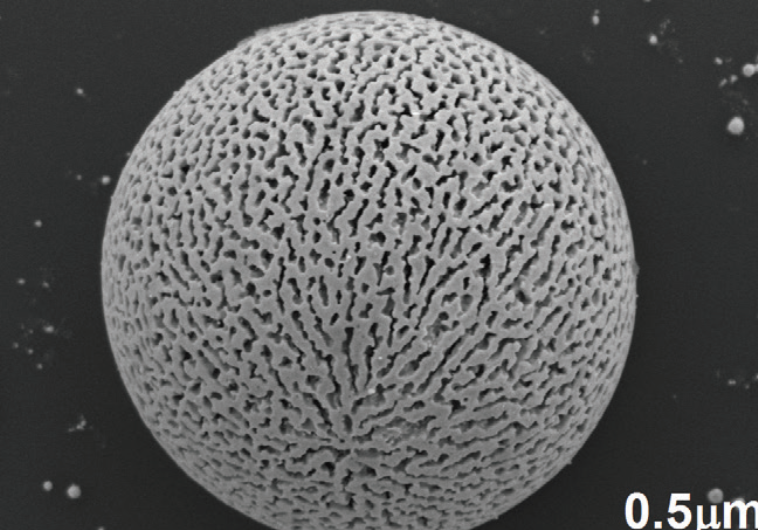 THIS ENLARGED PHOTO reveals microscopic details of the nano-structure of the single crystal of gold recently created at the Technion.