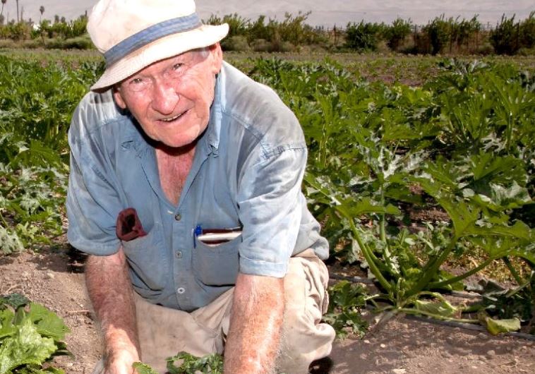 Mario Levy shows off his organic courgettes in fields belonging to Kibbutz Sde Eliyahu in the Beit She’an Valley
