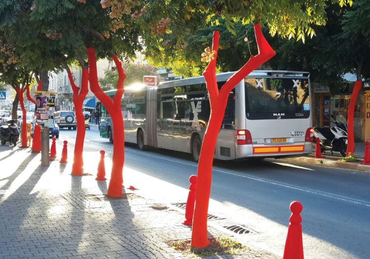 Wrapping trees in color on Emek Refaim Street