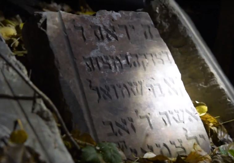 From the Depths uncovers the Zabinski's story