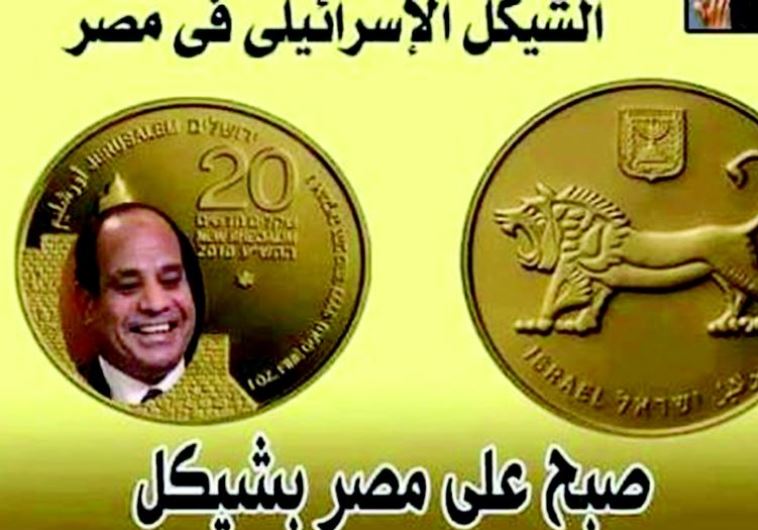 Protesters' mock up of Israeli coin with image of Egyptian President Abdel Fattah al-Sisi