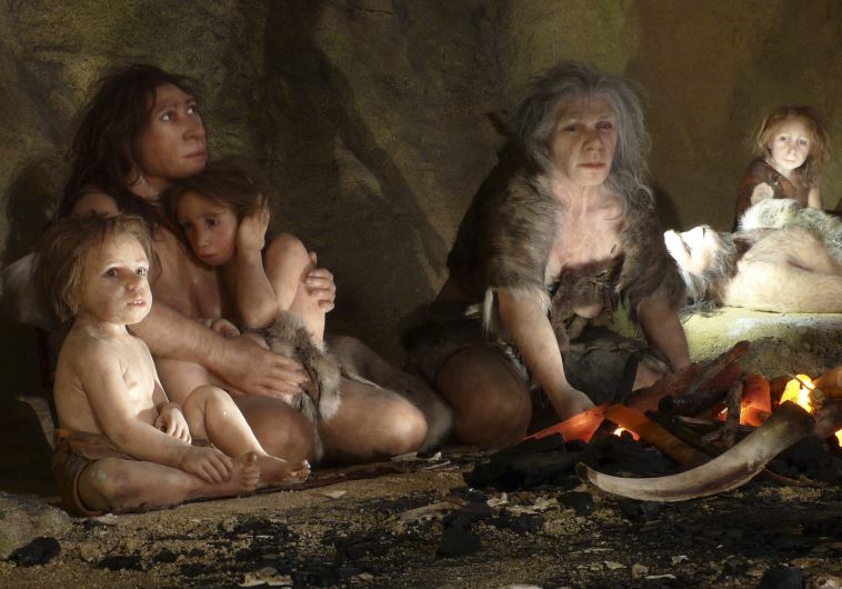 An exhibit shows the life of a neanderthal family in a cave in the new Neanderthal Museum in the northern town of Krapina 