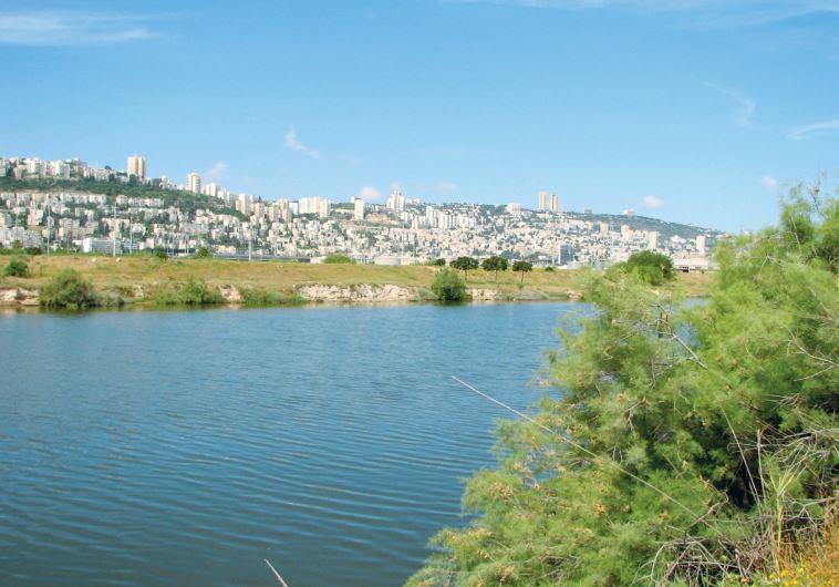 THE KISHON RIVER flows past Mount Carmel into Haifa Bay