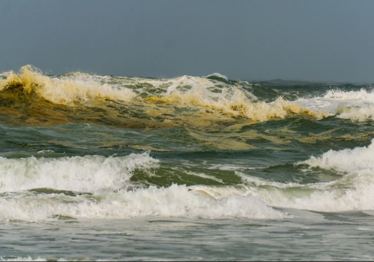 Yellow water following the sewage spill at Palmahim Beach