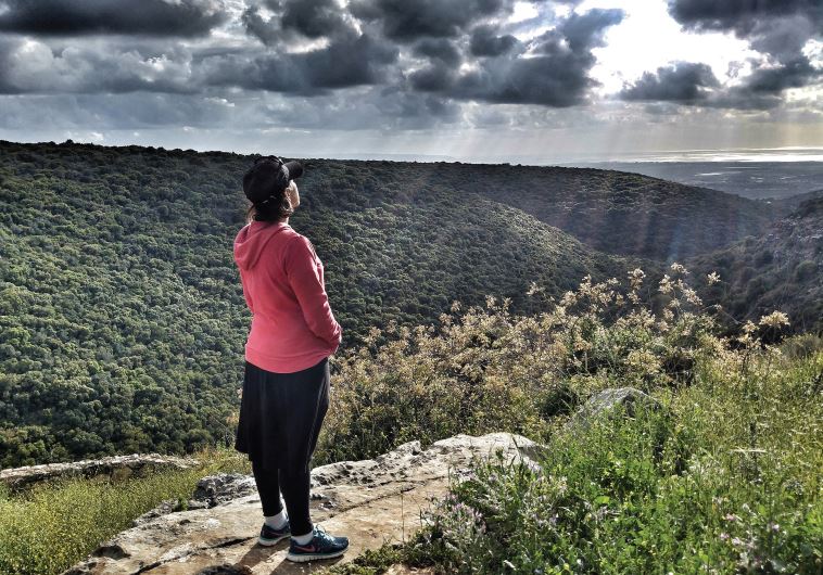 The writer contemplates nature – and appreciates the silence and personal space afforded by her travel companion