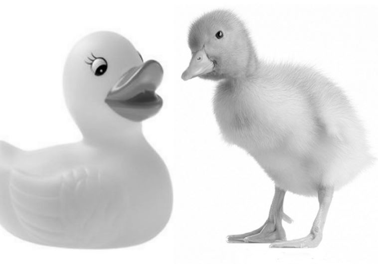 Authenticity V. Sincerity