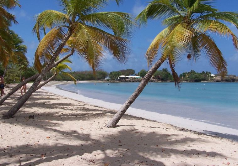 A Caribbean island [Illustrative]