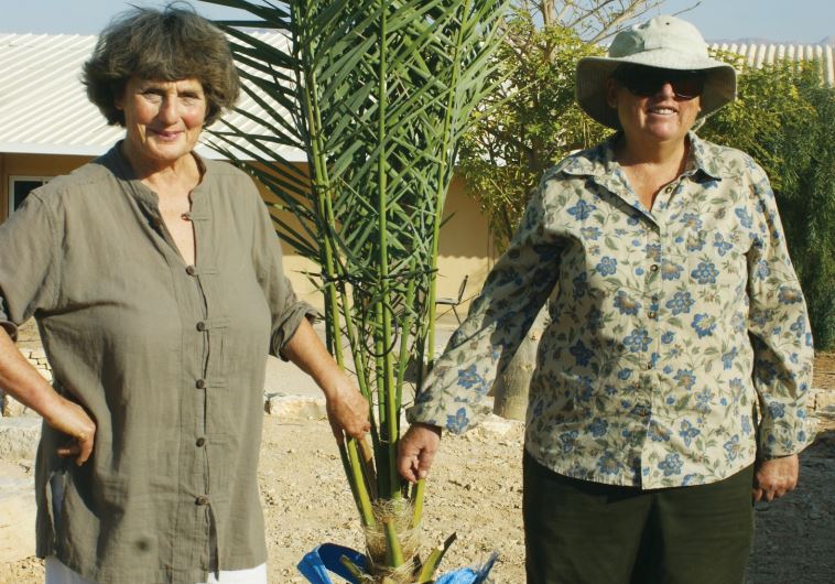Dr. Sarah Sallon, left, and Elaine Solowey with Methuselah