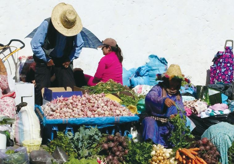 The colorful produce at a market in Morocco