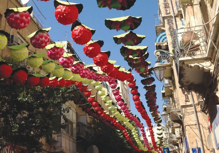 Summer is bursting out all over on Hahavatzelet Street