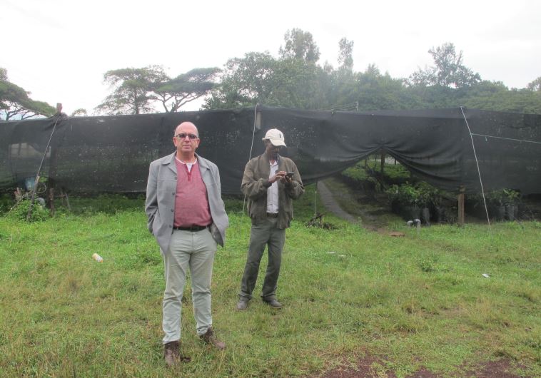 Ofer Kahani (left) and MASHAV project promotor Shigute Balcha (right) at MASHAV’s avocado nursery and training center in Butajira