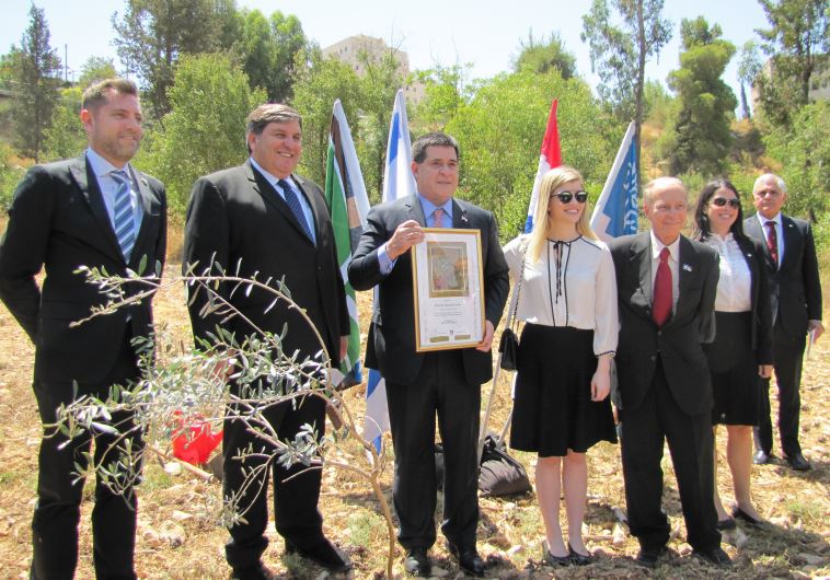 President of Paraguay Plants an Olive Tree in Jerusalem