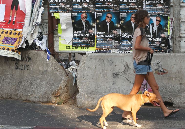 Streets of Tel Aviv