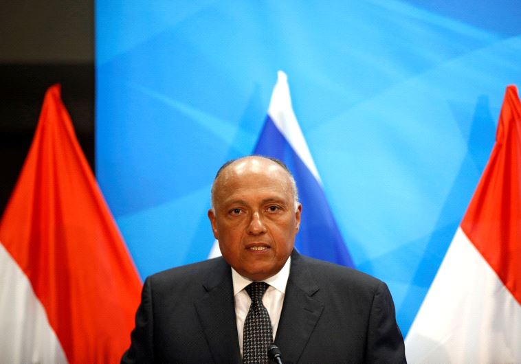 Egyptian Foreign Minister Sameh Shoukry