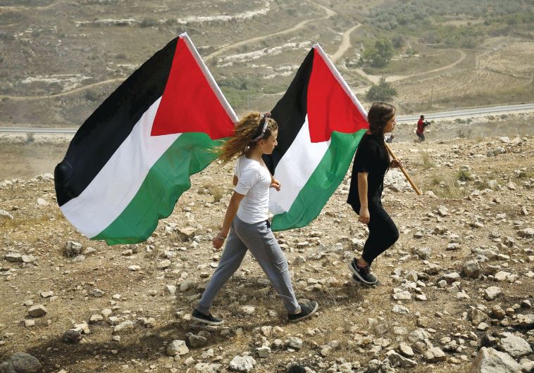 Demonstrators hold Palestinian flags during a rally in Nabi Saleh last year