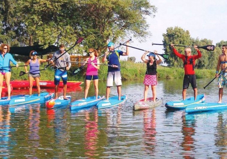 paddleboard