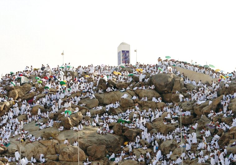Muslim pilgrims gather on Mount Mercy on the plains of Arafat during the annual haj pilgrimage, outside the city of Mecca this week