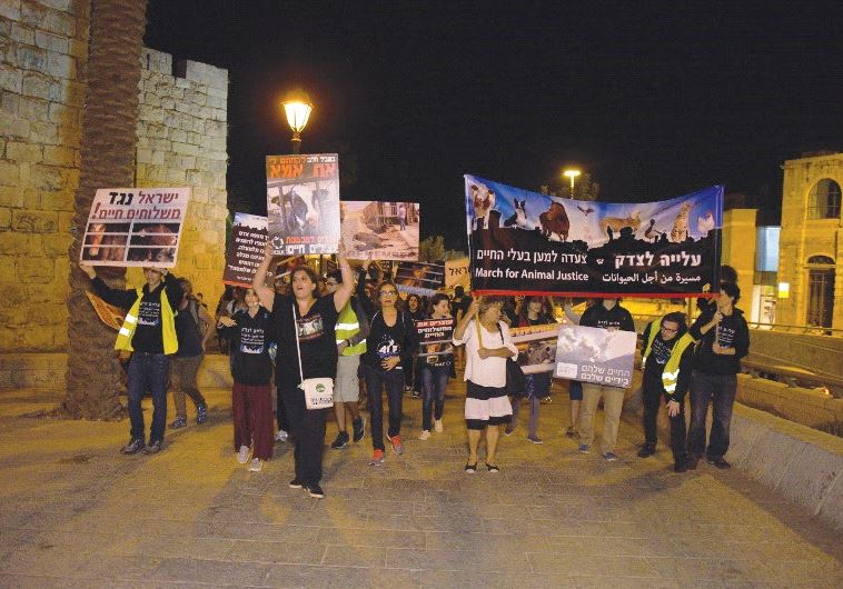 ANIMAL RIGHTS ACTIVISTS march by Jerusalem’s Old City on Thursday.