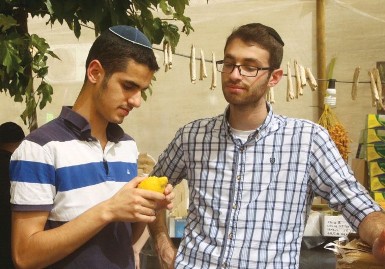 Choosing the right etrog