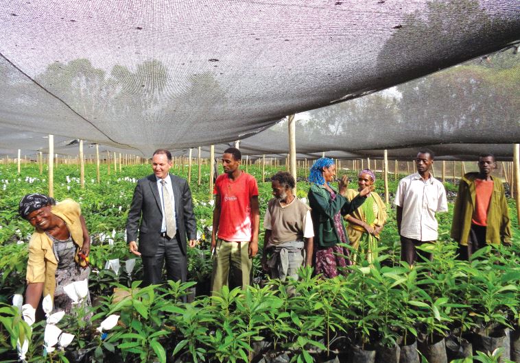 MASHAV head Gil Haskel (second from left) visits a MASHAV nursery for avocado trees in Ethiopia, March 2016