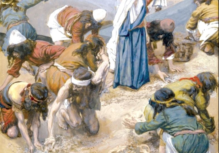 ‘The Gathering of the Manna’ by James Tissot