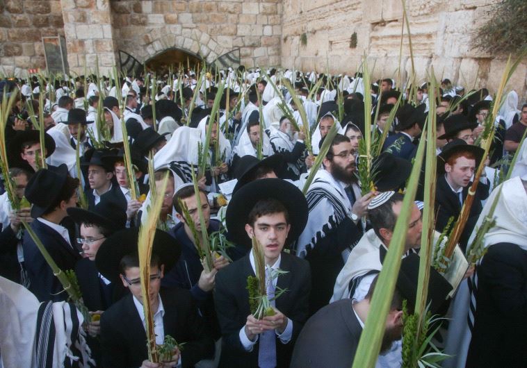 Hoshana Raba, the seventh day of Succot, at the Western Wall in Jerusalem 