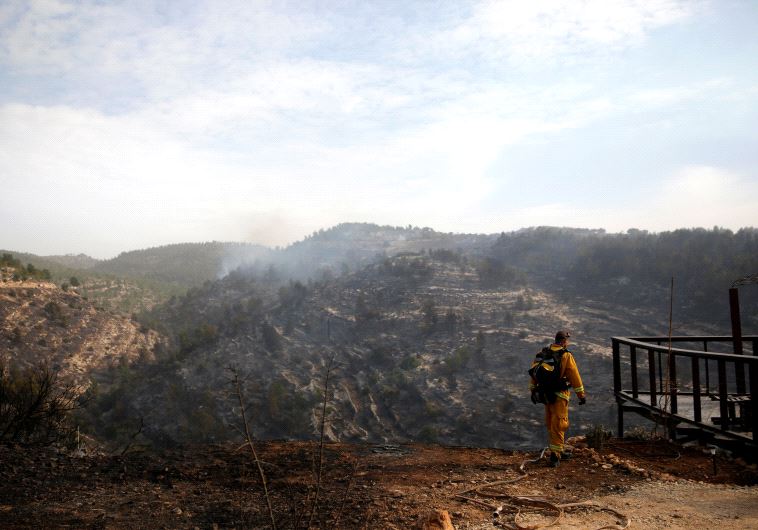 A firefighter works during a wildfire, near the communal settlement of Nataf, close to Jerusalem November 23, 2016. 