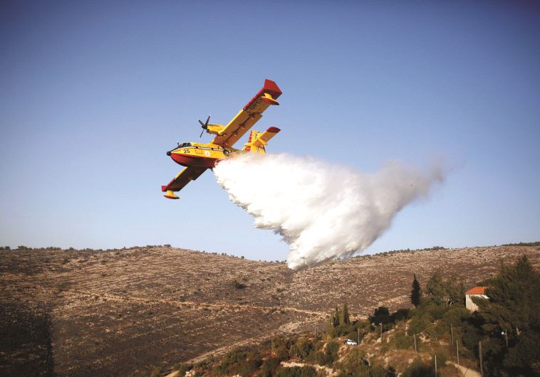 Un avion en action lors des derniers incendies