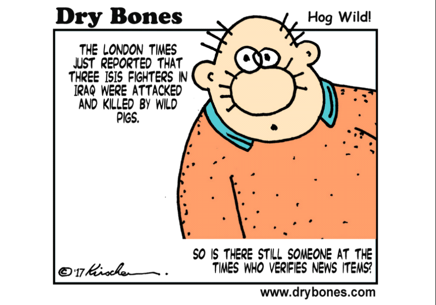 Dry Bones