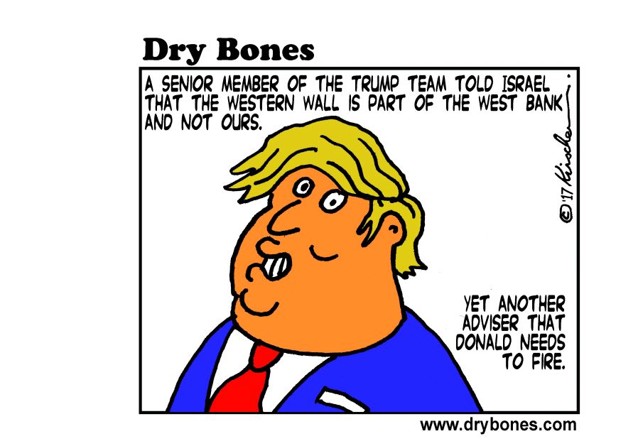 Dry Bones